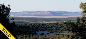 Lot 646 SVR, 39+ Acres of Heavily Treed VIEW Property