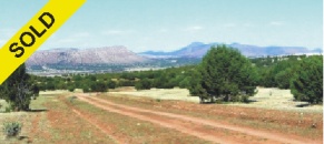 38.21 Acres on heavily treed hillside and hilltop