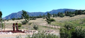 Beautiful Hilltop 2 Acre Lot