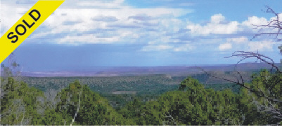 Gorgeous Tree-Covered 44+ Acres