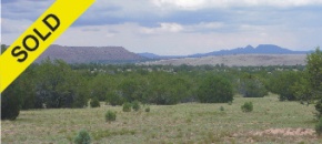 Usable Land with Lots of Trees and Big Views!