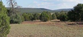 55 acres heavily treed and spectacular views!