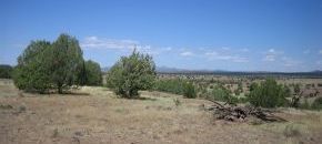 20 Heavenly Acres with VIEWS!