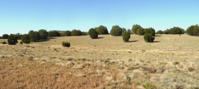Great Horse Property
