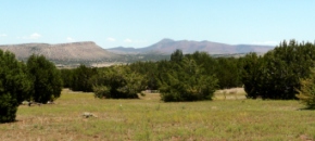 Beautiful, gently-sloping lot with Great VIEWS