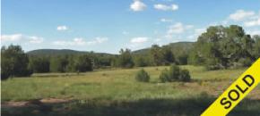 Lots of Grass Here in Juniper Mountain Ranches