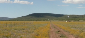 Grassy land with easy access and views -- Owner May Carry