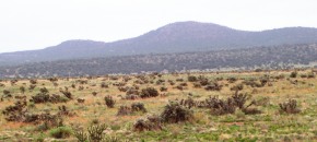Nearly Level lot with views