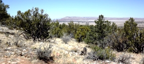 Lot 701 Sierra Verde Ranch